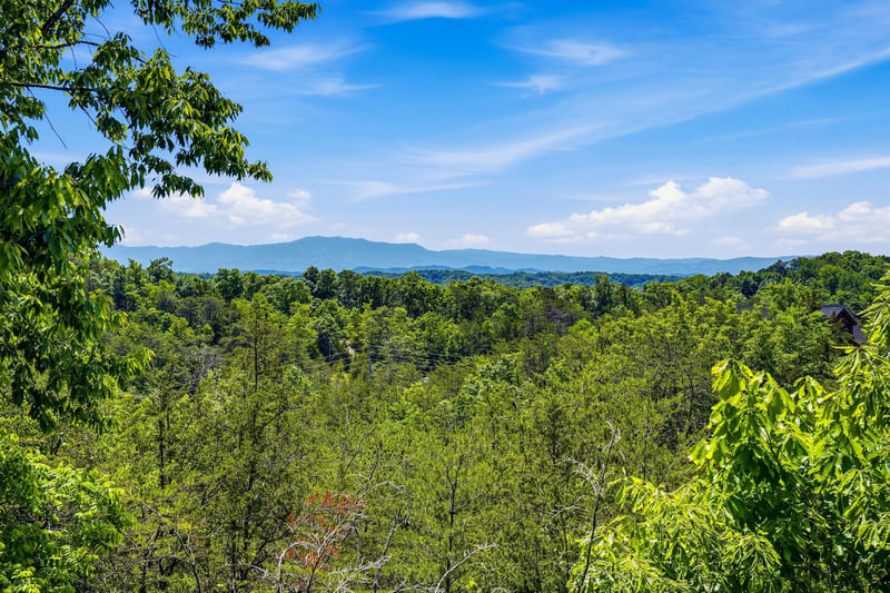 A scenic mountain vista framed by lush forested hills under bright blue skies, showcasing the propertys peaceful natural surroundings.