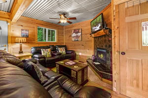 Sofa and loveseat in the living room at License to Chill, a 3 bedroom cabin rental located in Gatlinburg
