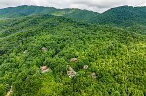 dancinginthemoonlight36