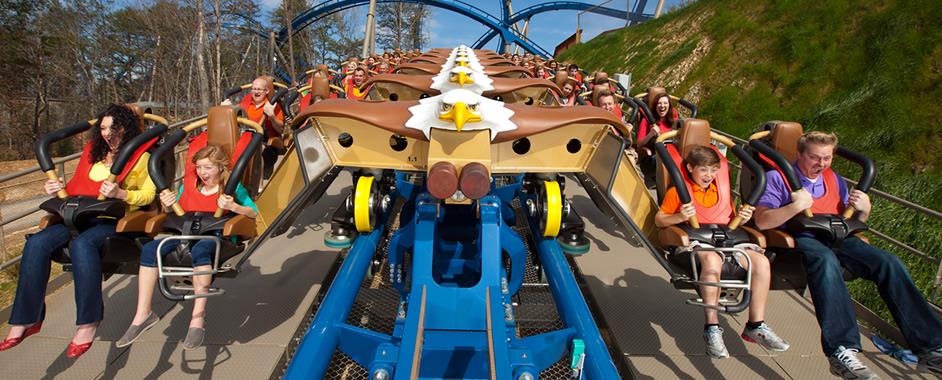 Wild Eagle  images courtesy of Dollywood