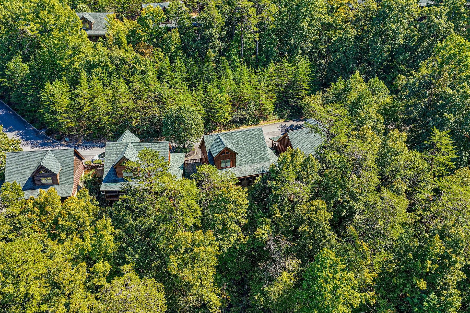 An aerial view capturing the property nestled among dense forest, with charming greenroofed cabins surrounded by mature trees and natural landscape.