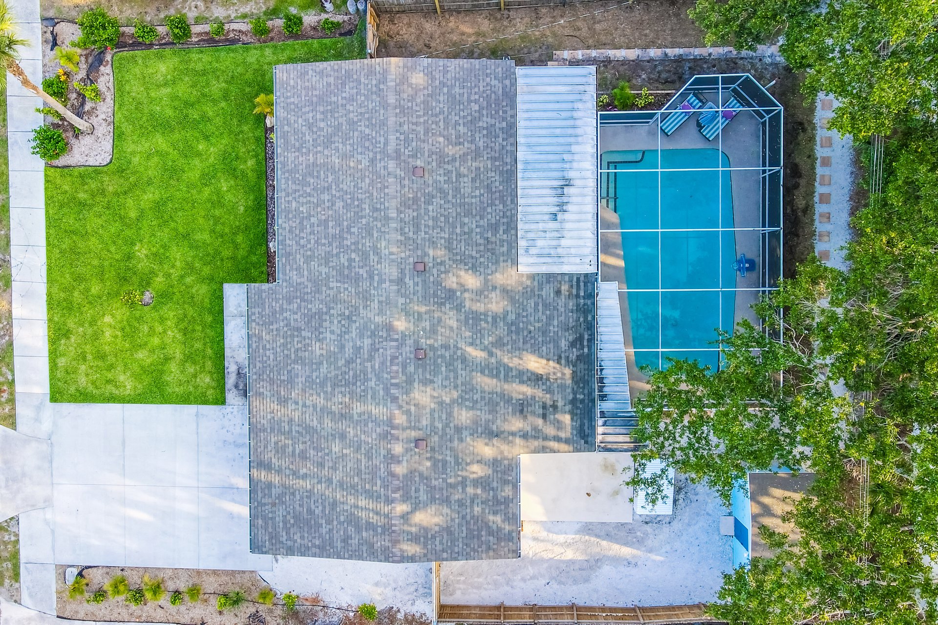 The Fancy Flamingo 35