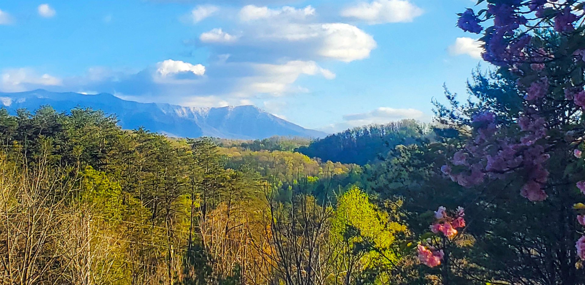 Mountain views stretch across rolling hills with vibrant spring blooms framing the scenic landscape near the property.