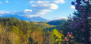 Mountain views stretch across rolling hills with vibrant spring blooms framing the scenic landscape near the property.
