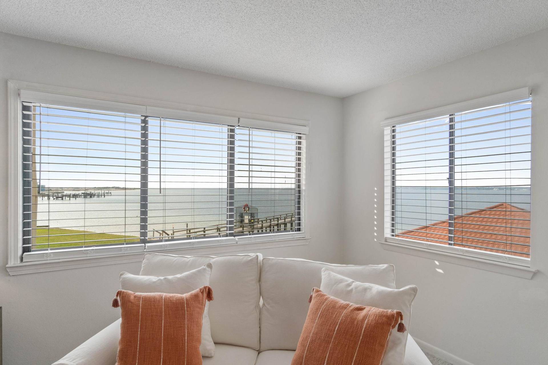Amazing Views From Living
