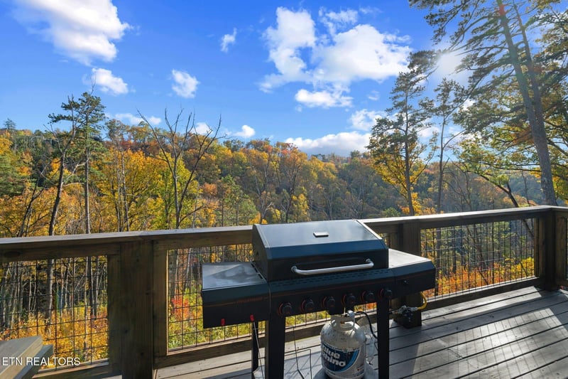 This mountain retreat showcases stunning autumn views with vibrant fall foliage blanketing the hillsides. A private deck with BBQ facilities provides the perfect spot for outdoor dining amidst the nat
