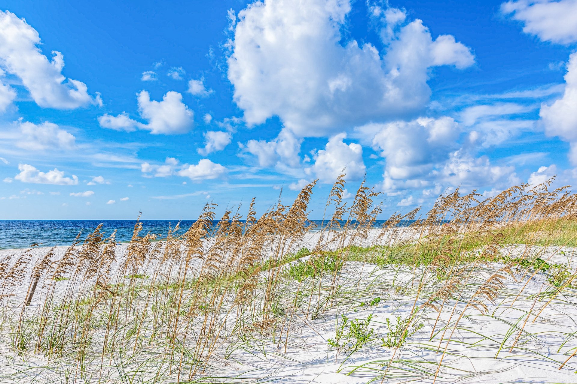 Perdido Key Paradise 47