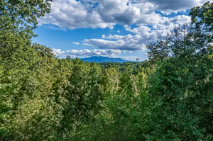 leconteviewlodgeext16