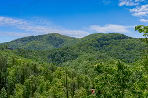 moonbeamandcabindreams8