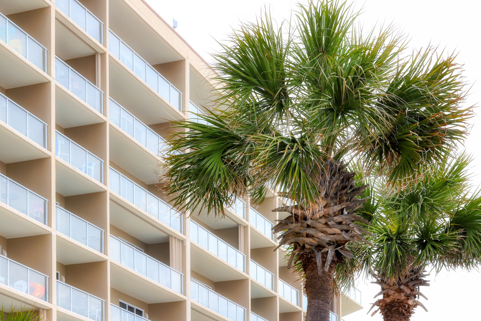 Sterling Sands 613 30