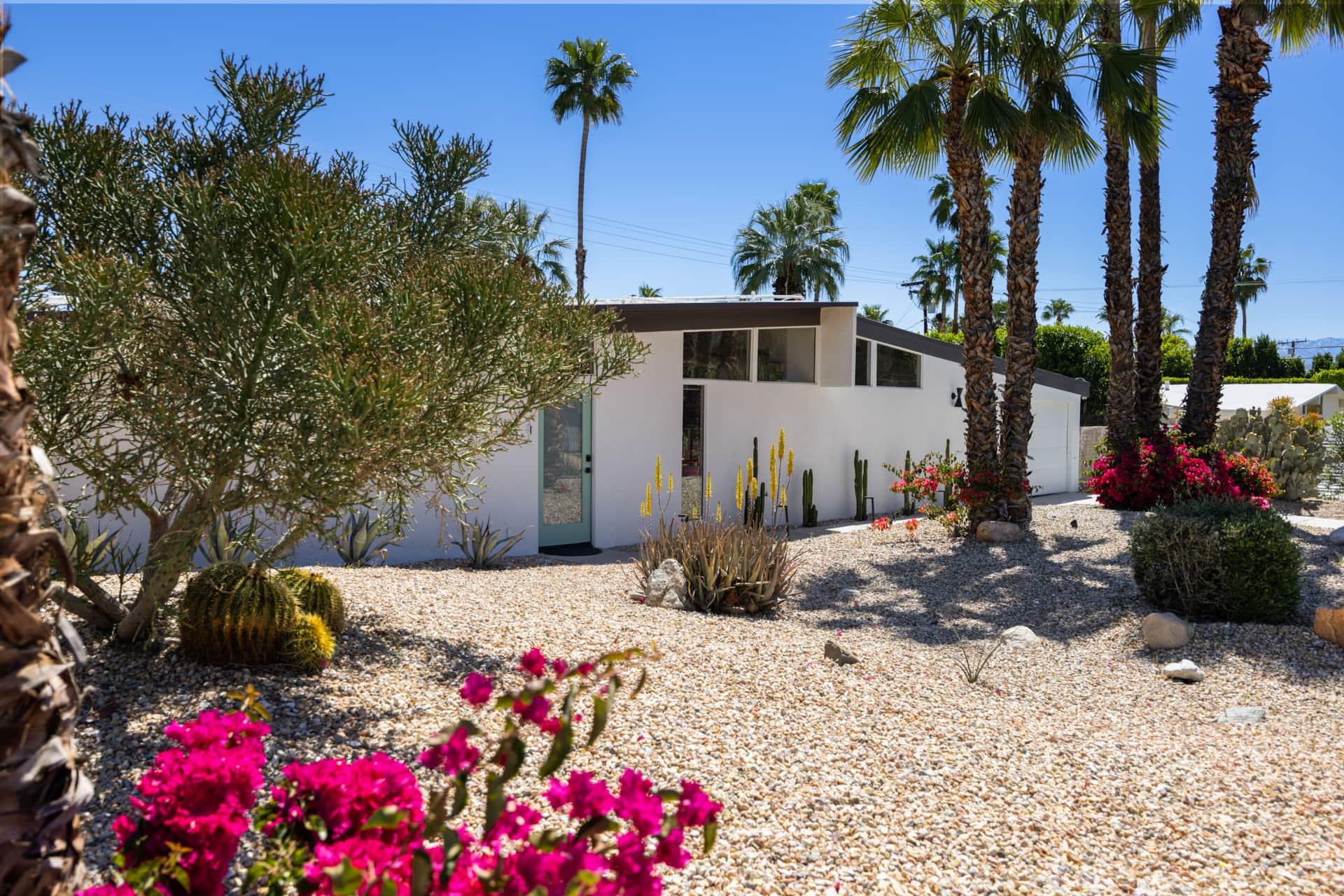 Gorgeous desert lansdcaping through