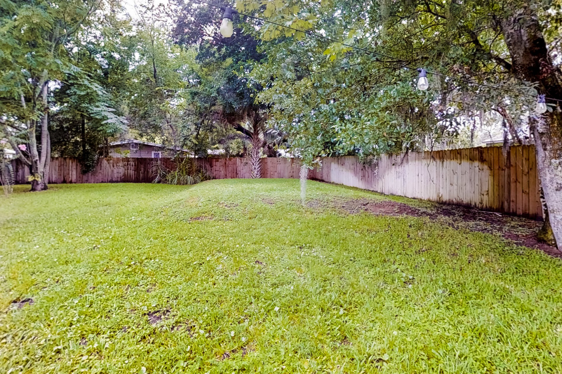 Cape Avenue Escape 25