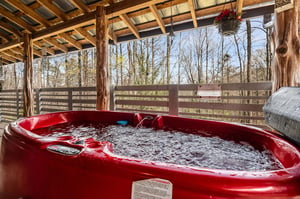 aspenshideaway142
