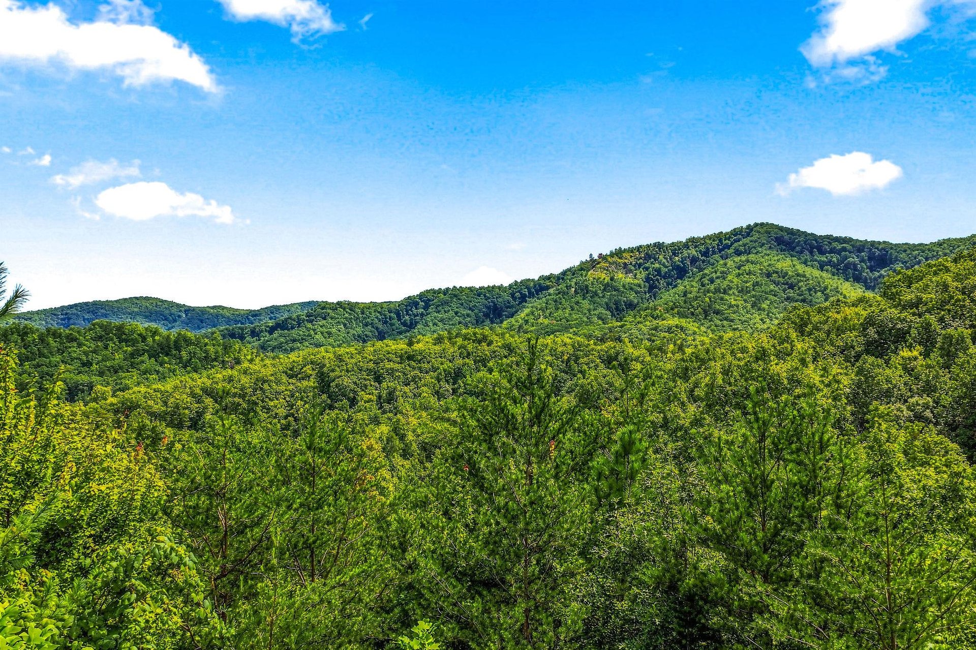 Lush forested mountains surround the property, offering natural beauty and serene landscapes throughout the area.