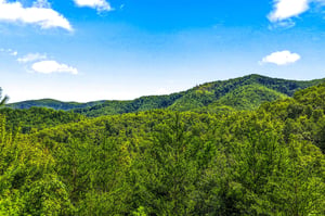 Lush forested mountains surround the property, offering natural beauty and serene landscapes throughout the area.