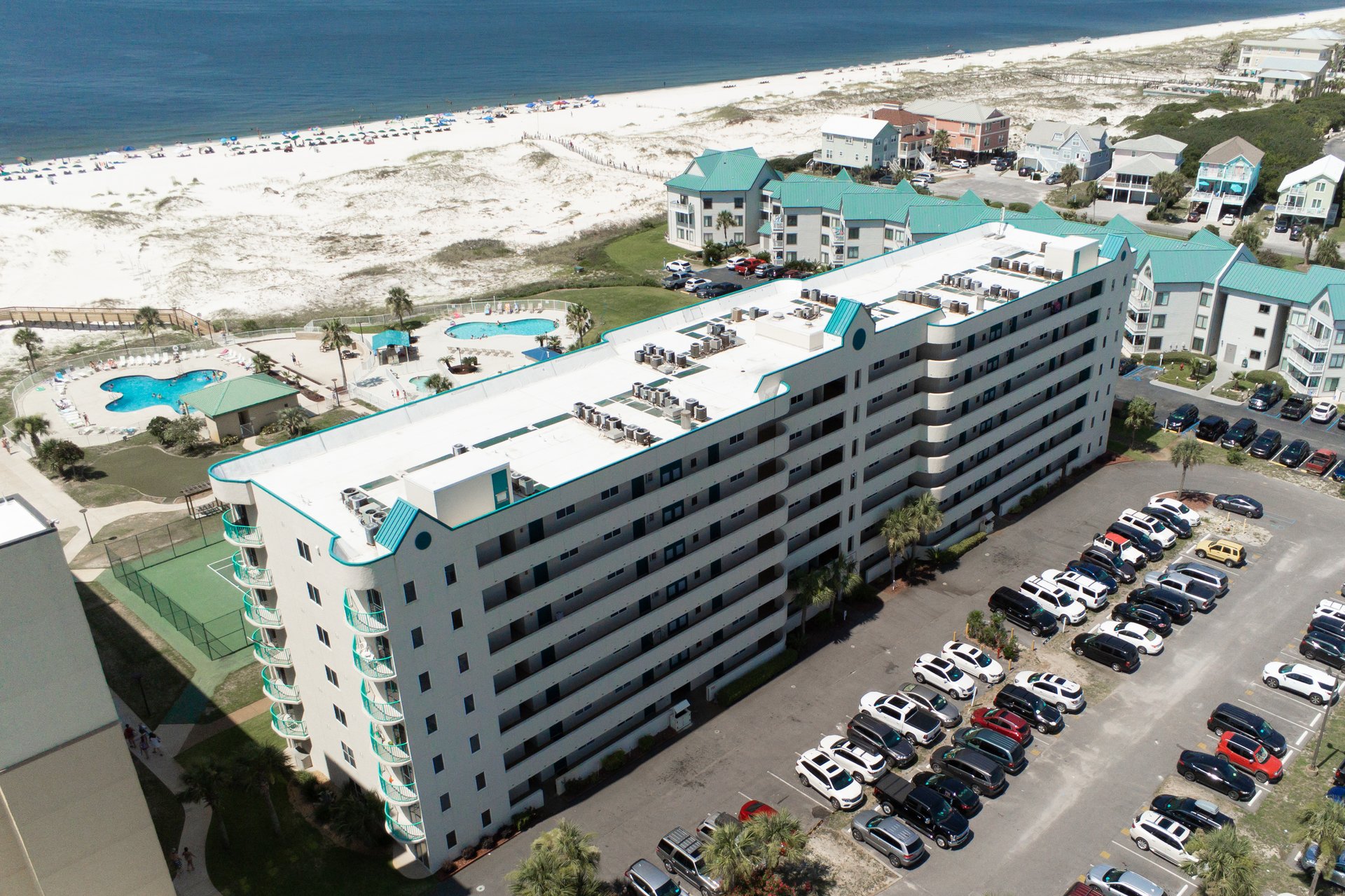 Plantation Palms 6511 37