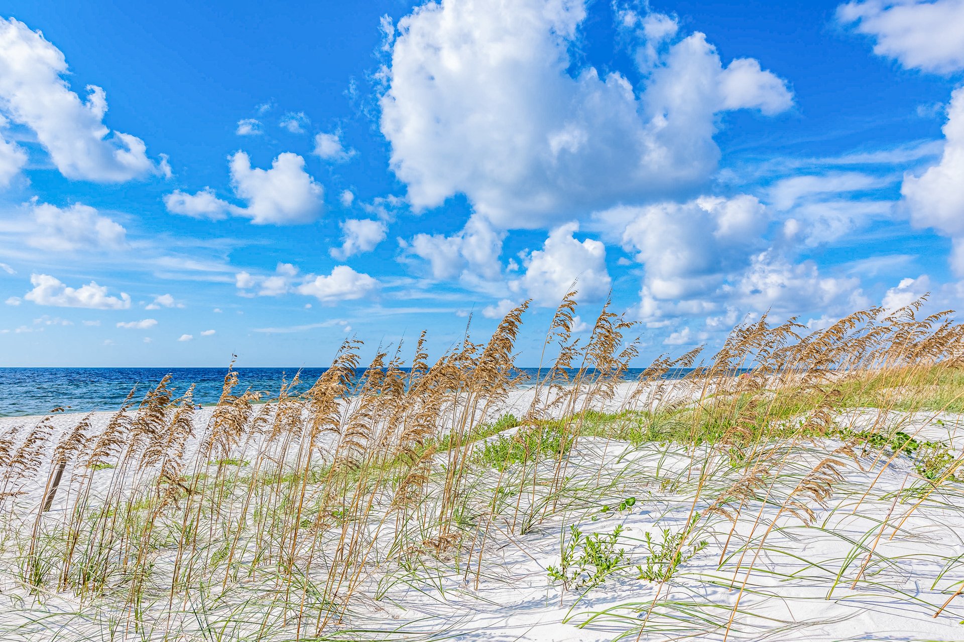 Ocean Breeze West 302 26