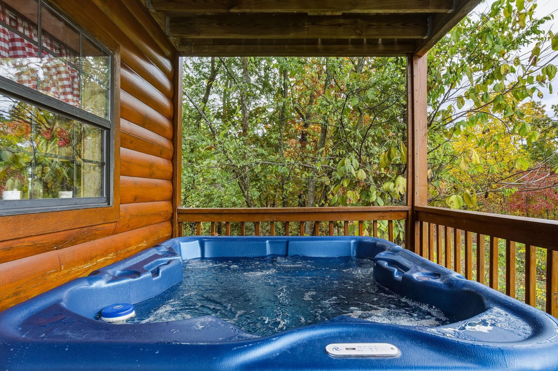 sweetbearolineextupdate7