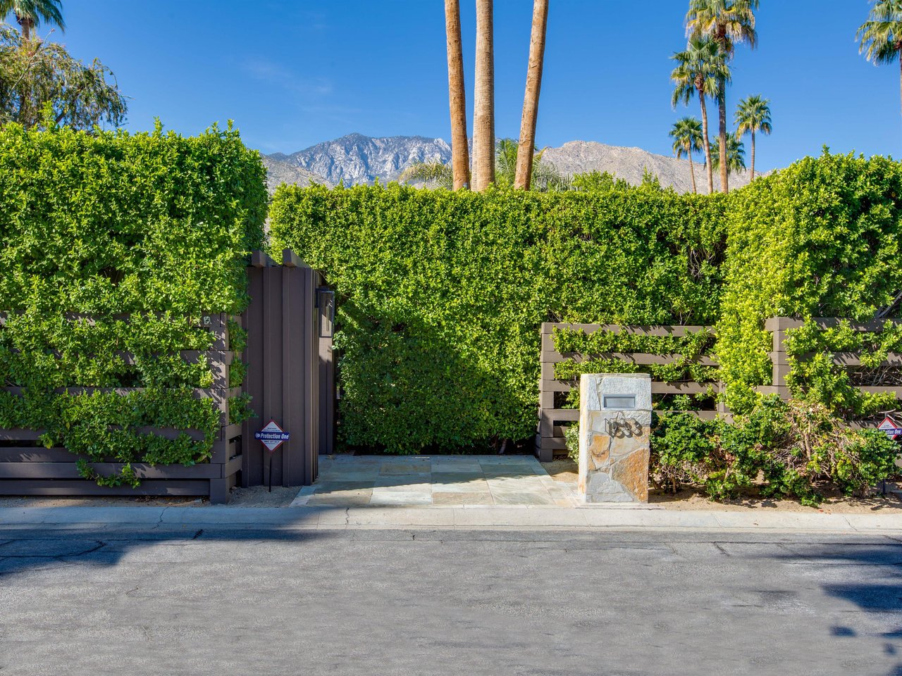 Tall hedges for privacy