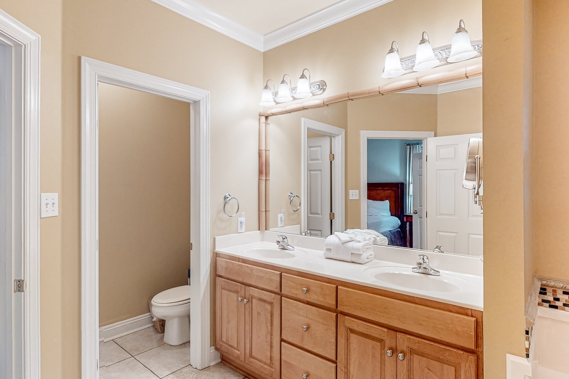 Mandevilla at Martinique 23