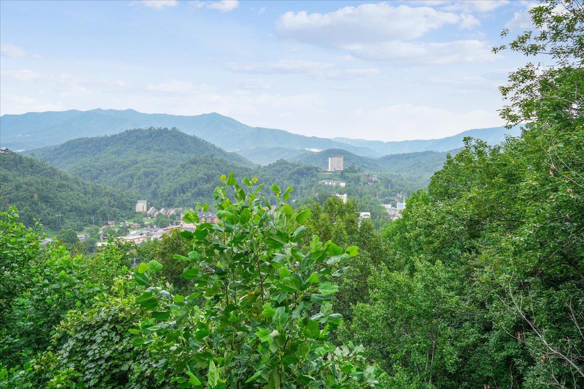 079View