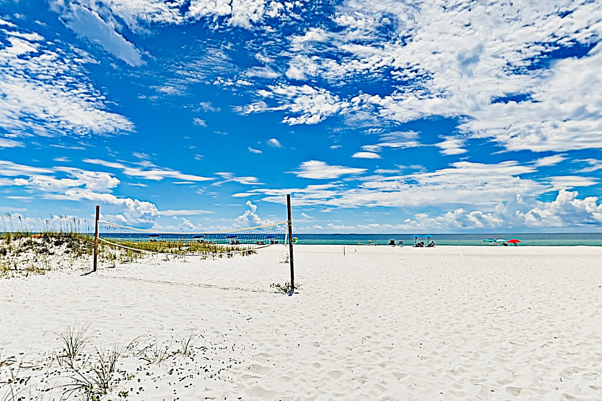 Needle Rush Point A23 23