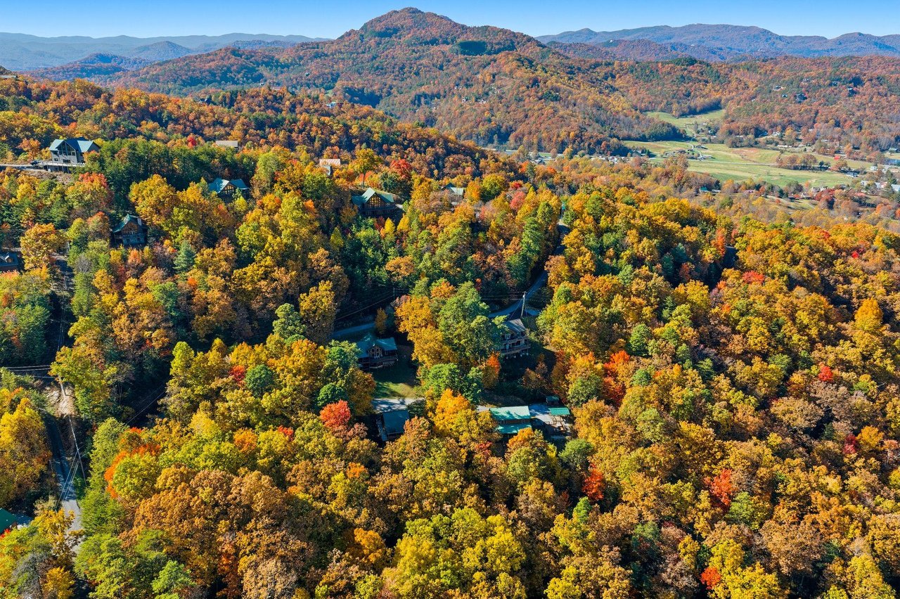bearmontlodge68