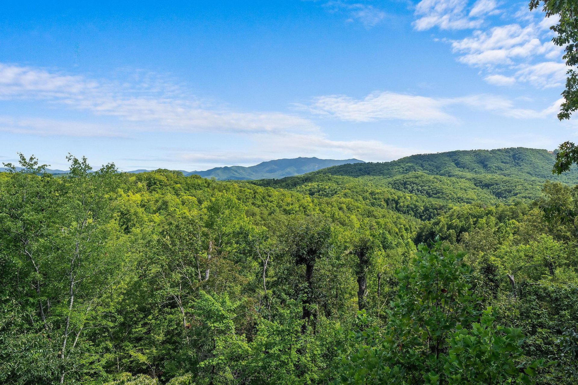 View from Bear Sunrise