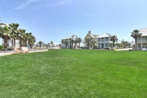 The Great Lawn