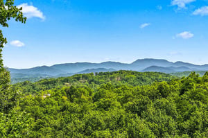 A stunning mountain backdrop beyond lush forest canopy, captured during daylight under a brilliant blue sky.