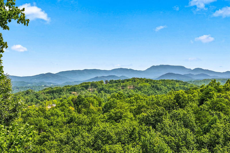 A stunning mountain backdrop beyond lush forest canopy, captured during daylight under a brilliant blue sky.