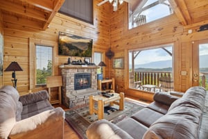 TV, fireplace, natural lighting and view