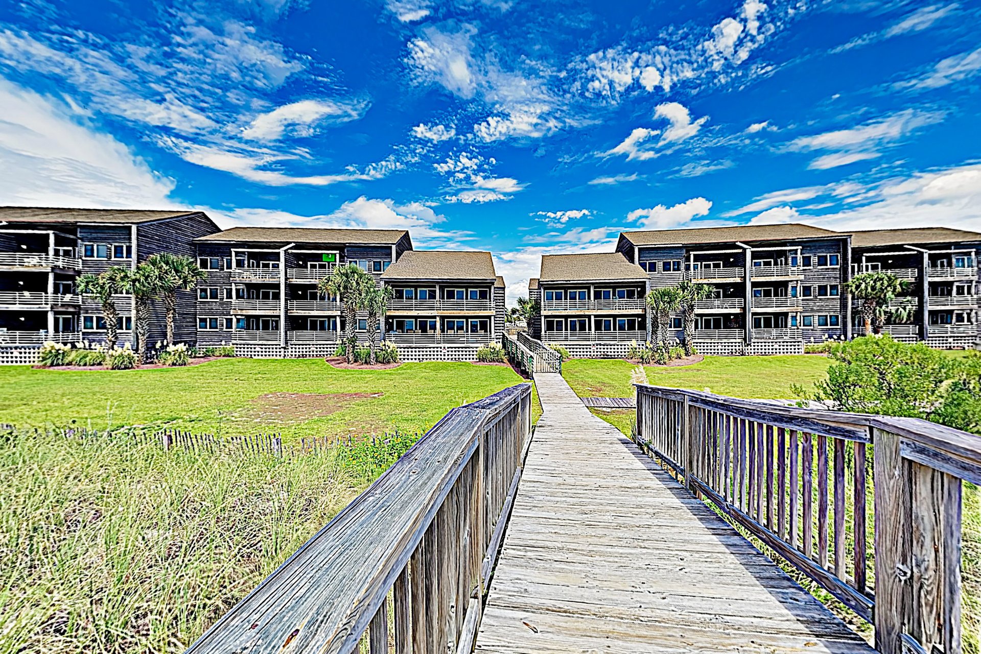 Needle Rush Point A23 20