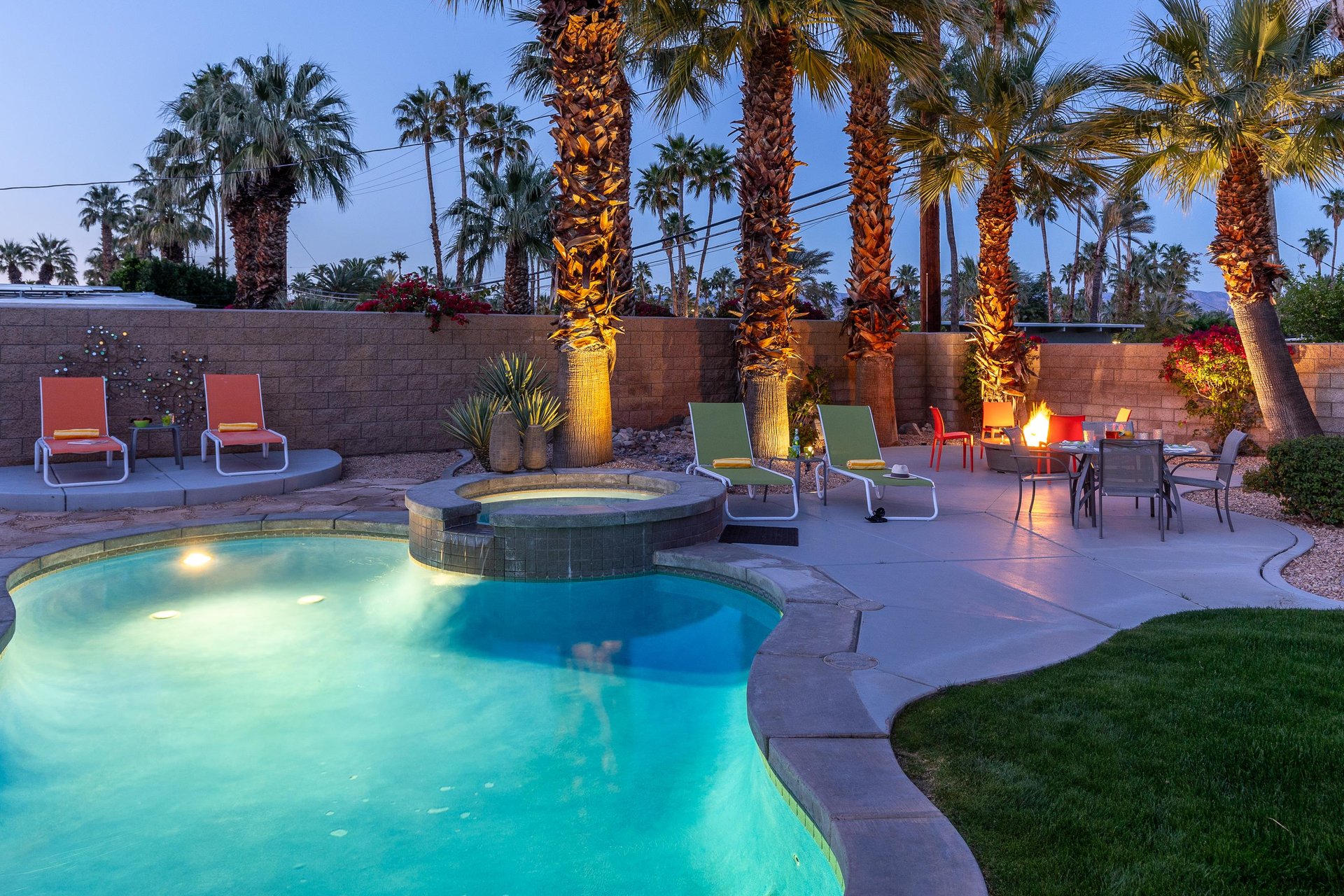 Illuminated palm trees