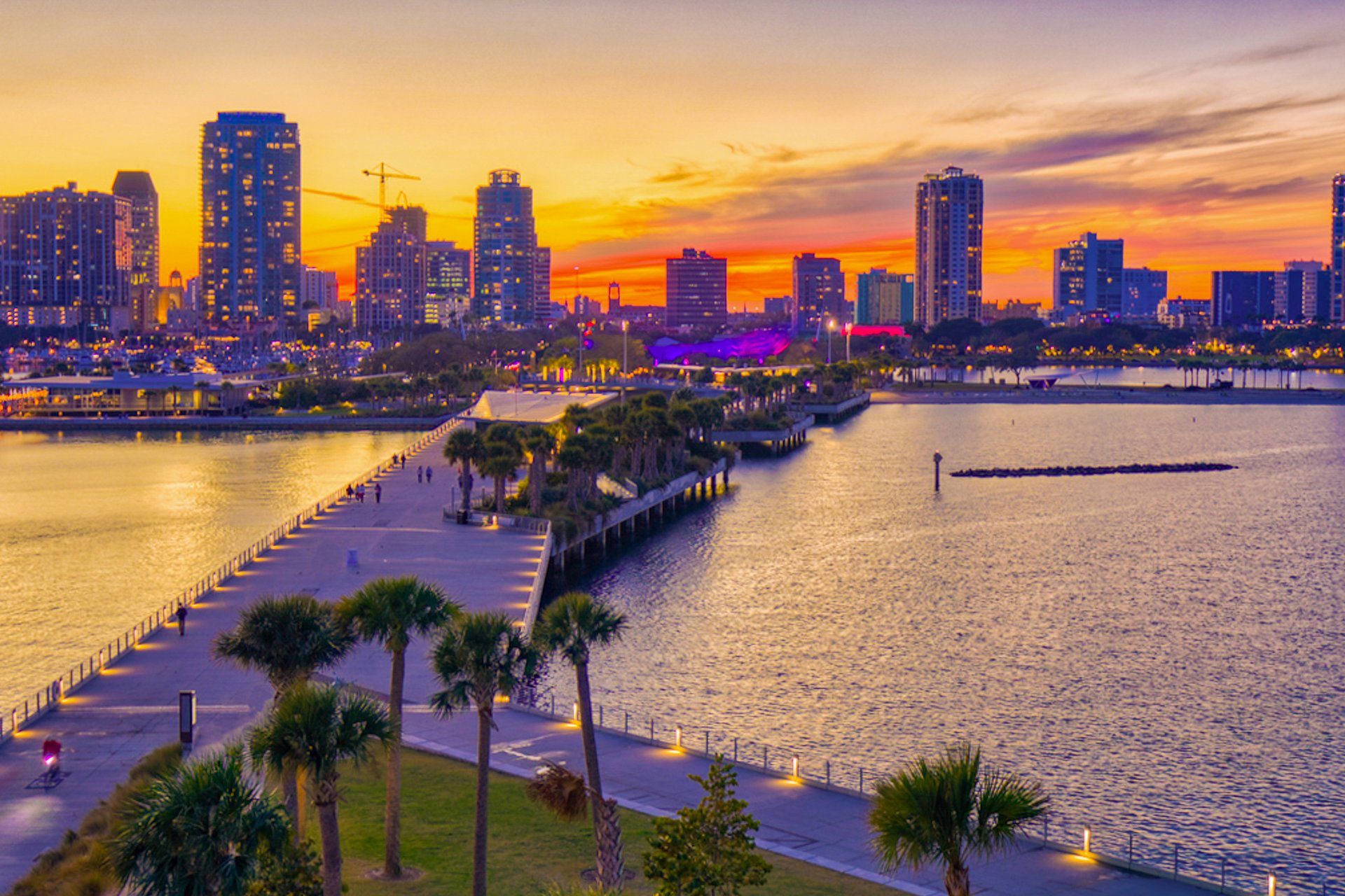 The Fancy Flamingo 38