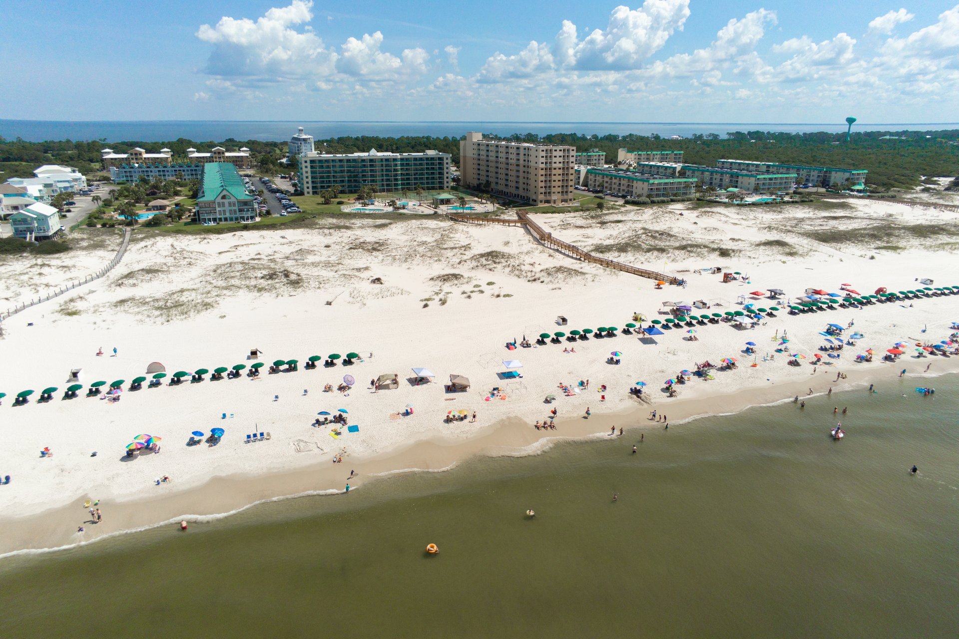 Plantation Palms 6511 30