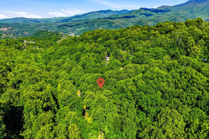 Nestled in lush forest with stunning mountain views, this property offers a peaceful retreat surrounded by natural beauty and the charm of nearby communities.