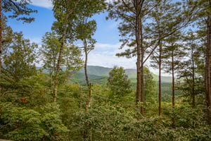 View through the trees at Cubs Crib, a 3 bedroom cabin rental located in Gatlinburg