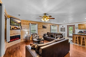 Living room with fireplace