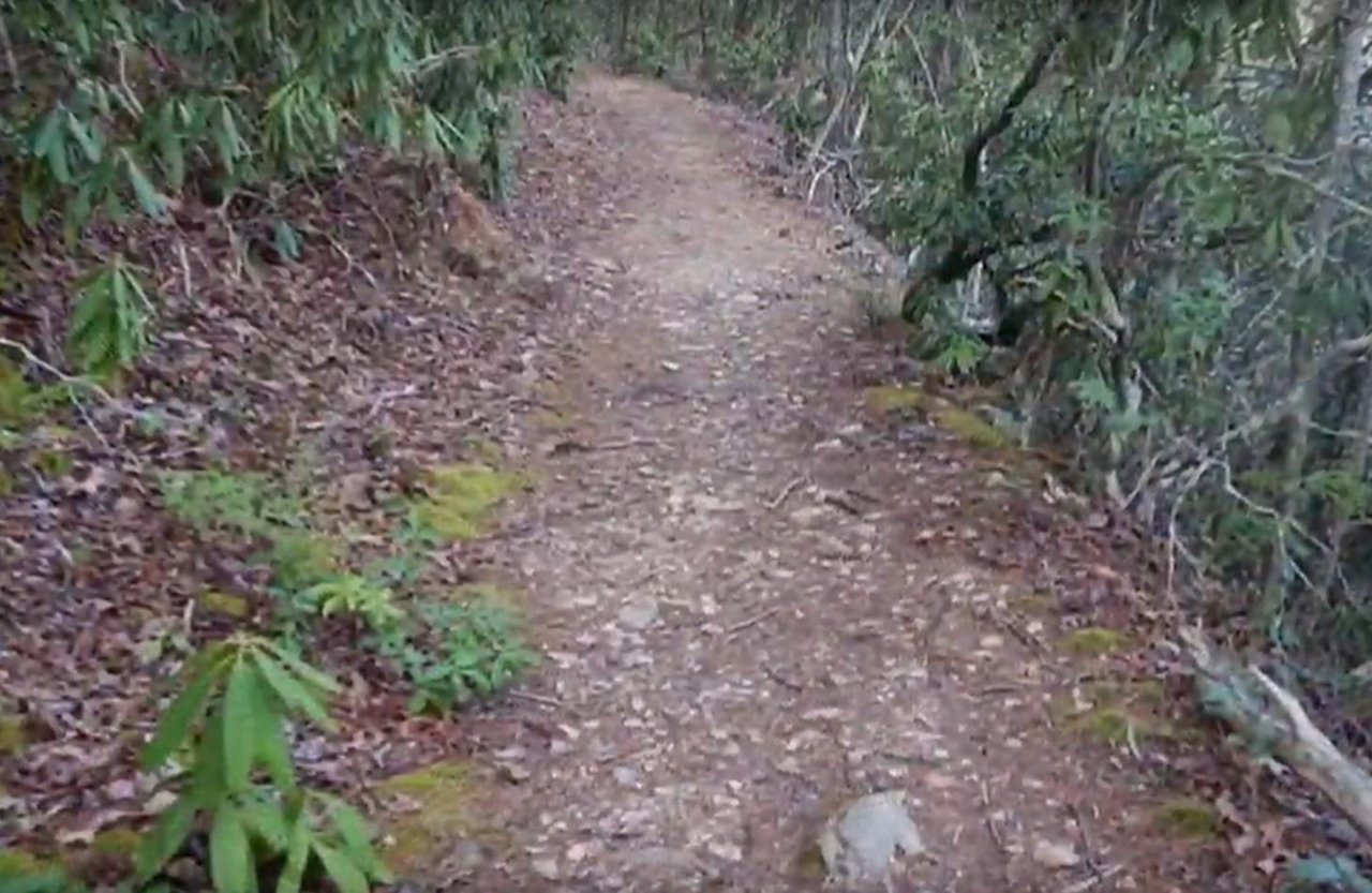 Width1280