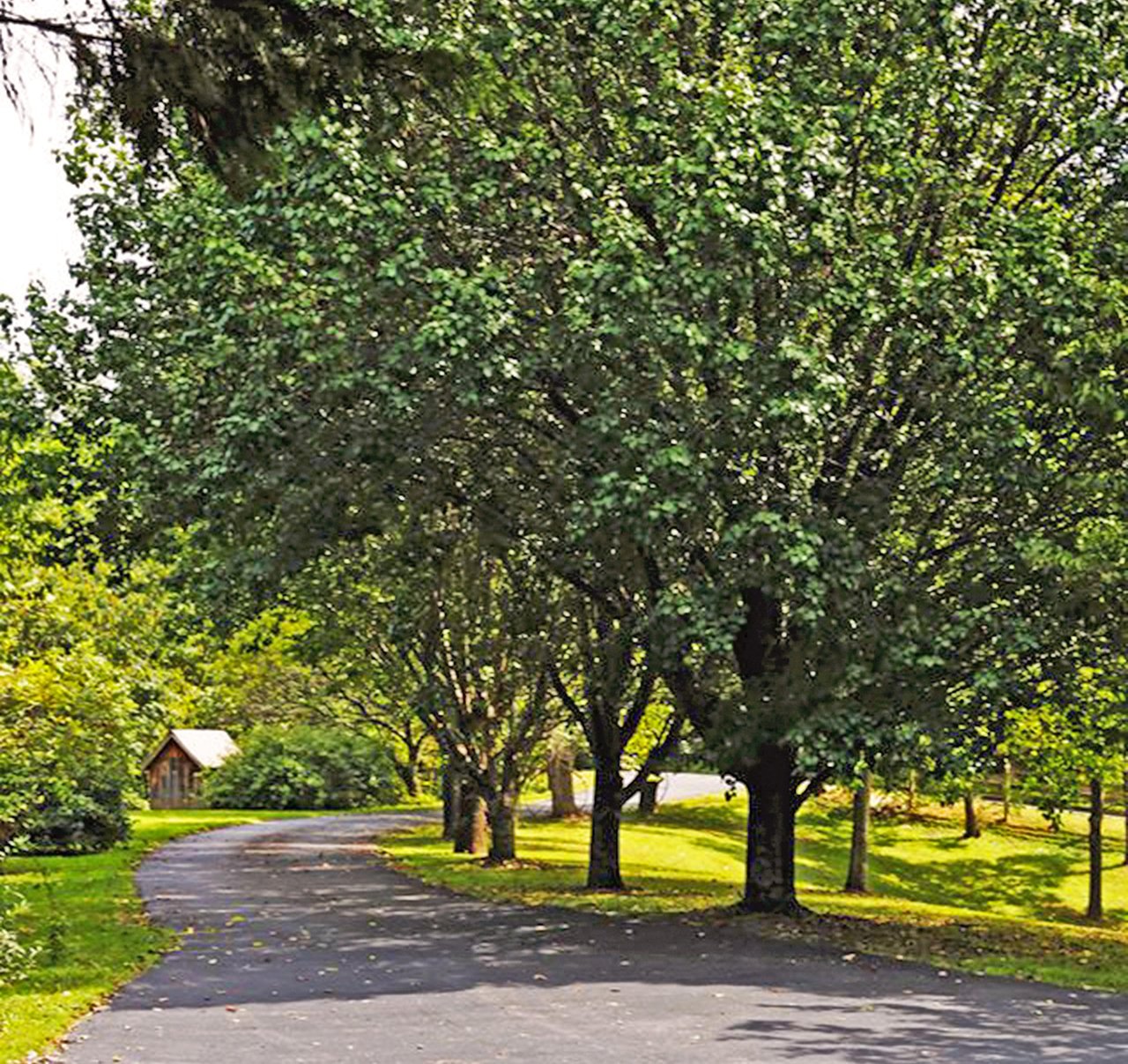 Treelined pathway leads through peaceful grounds to charming buildings nestled in lush greenery.