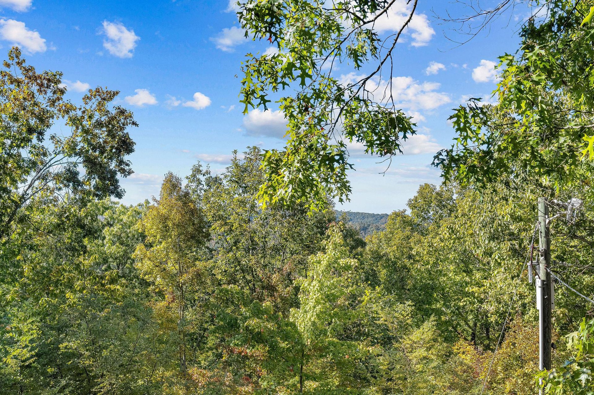 View from Papa Bear cabin