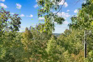 View from Papa Bear cabin