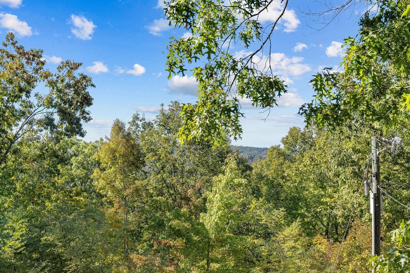 View from Papa Bear cabin