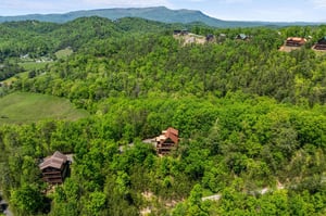 moonbeamandcabindreams18