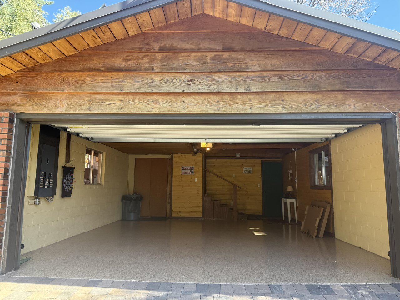 A rarity in Idyllwild