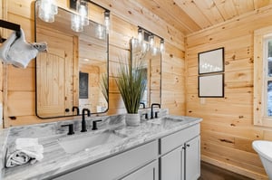 dual vanity