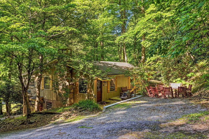 A welcoming cabin nestled beneath towering trees, with a gravel driveway and red porch seating ready for your arrival. This serene wooded retreat offers a peaceful escape immersed in nature.