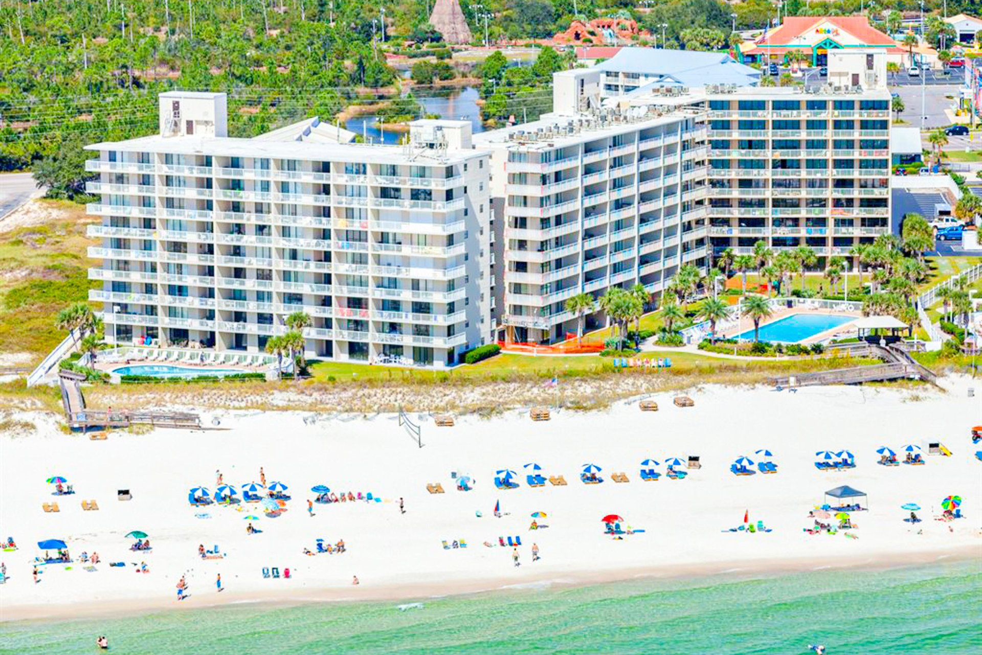 4343793.jpg