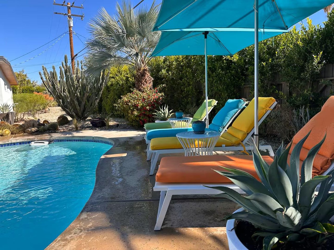 Tons of cushy lounge chairs to enjoy